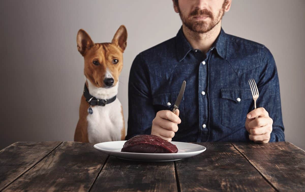Raw food diet for dogs