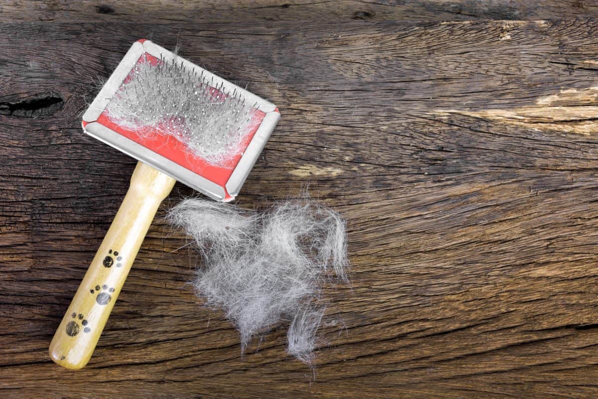Shed master dog brush discount