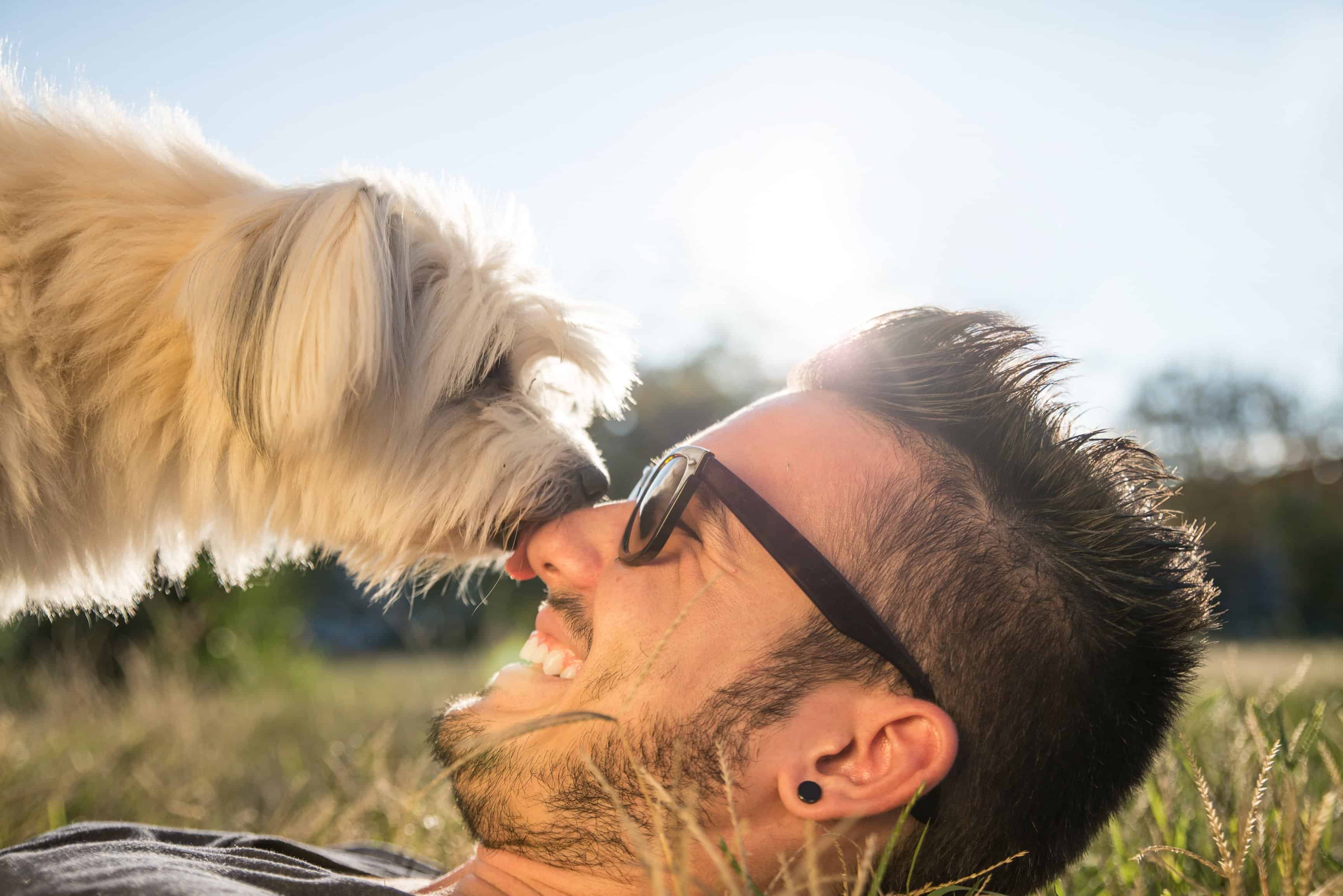 Dual-Certification Dual-Certification pet careers