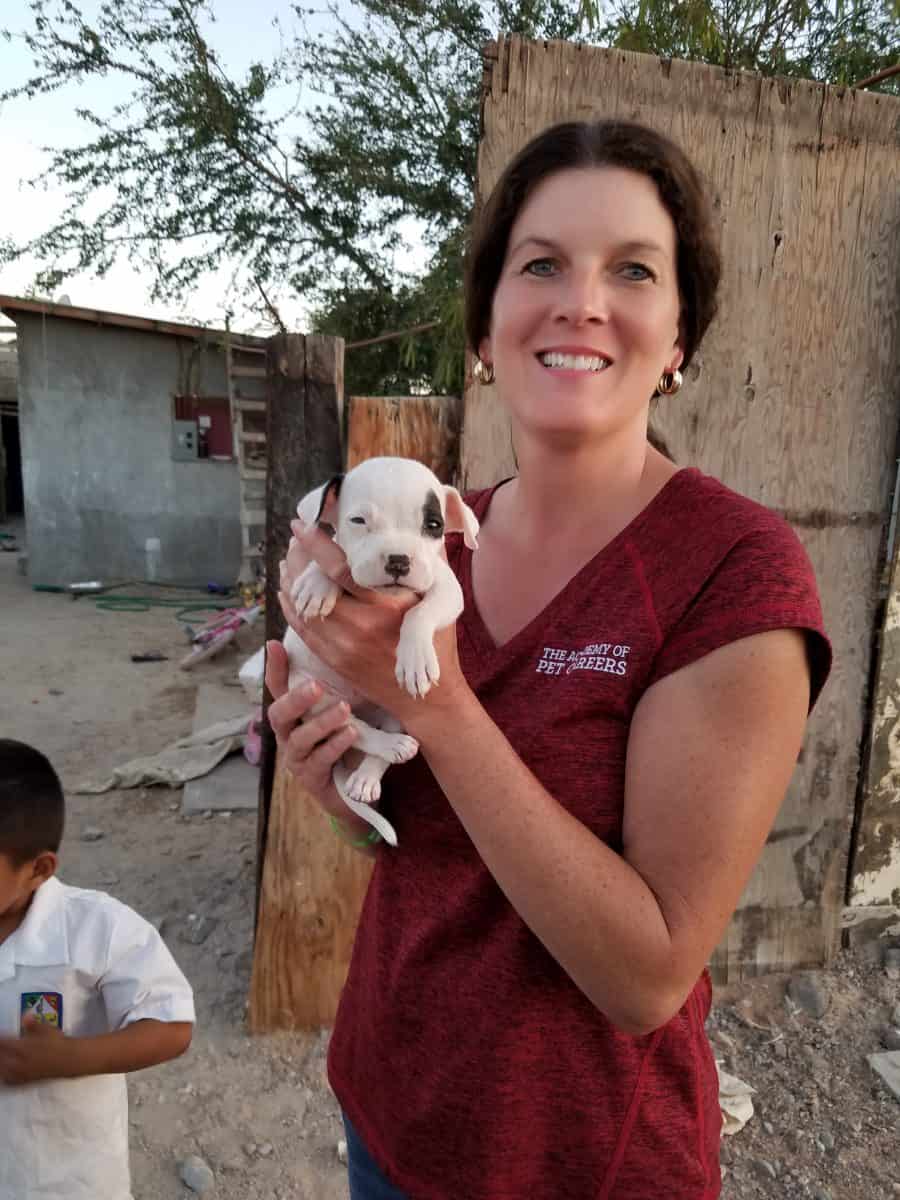 Street Dogs of Mexico Puppy