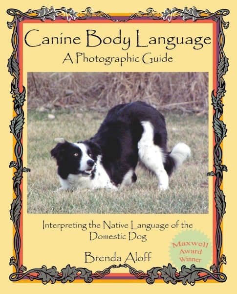 Canine Body Language Brenda Aloff