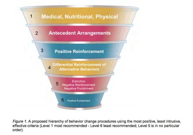 The Humane Hierarchy