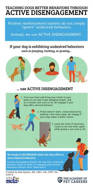 Active Disengagement InfoGraphic, The Academy of Pet Careers
