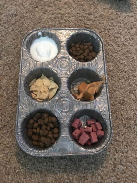 Mealtime Choices Image, The Academy of Pet Careers