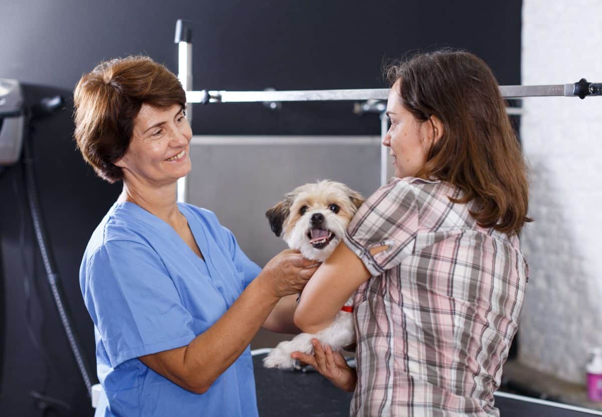 Groomer Talking To Owner Image, The Academy of Pet Careers