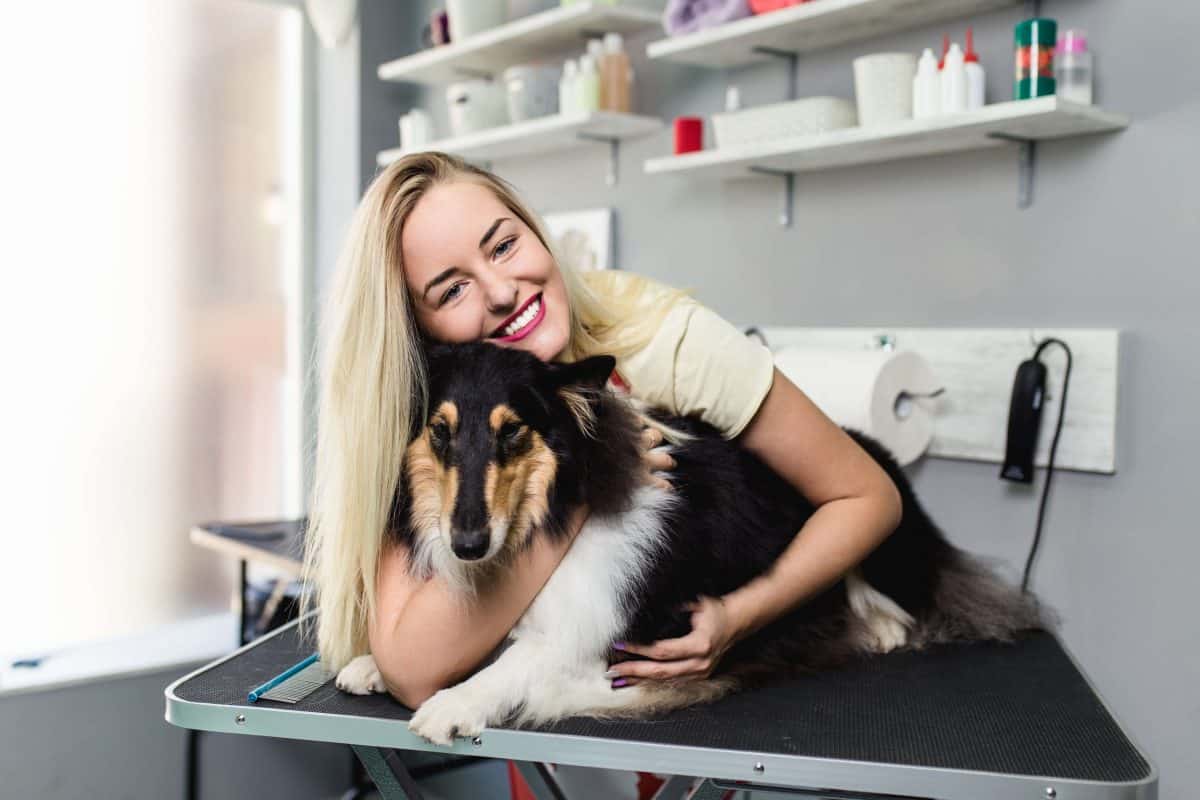 Longevity Of Your Grooming Career Image, The Academy of Pet Careers