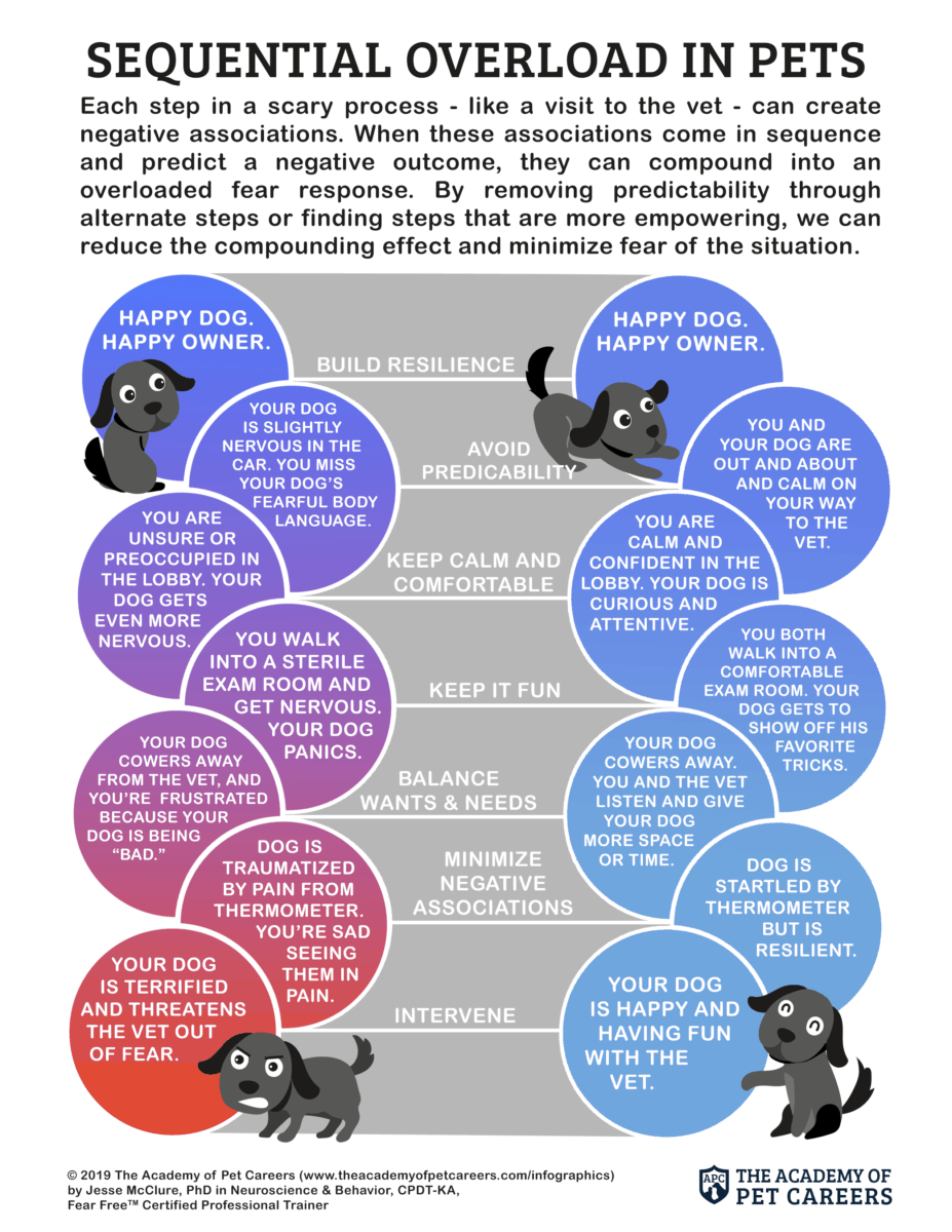 Sequential Overload in Pets Infographic