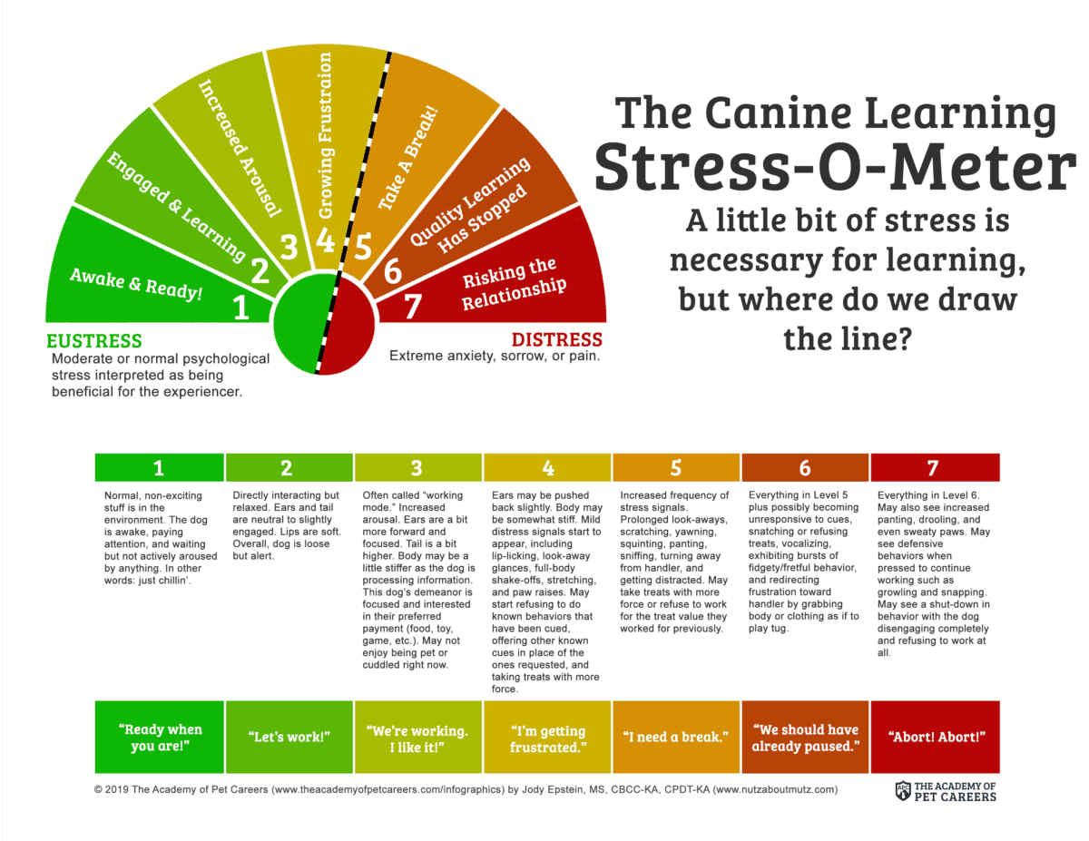 The Canine Learning Stress-O-Meter Infographic