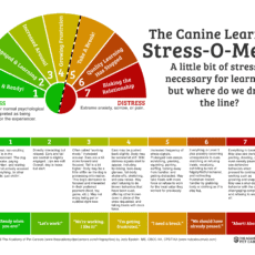 The Canine Learning Stress-O-Meter Infographic