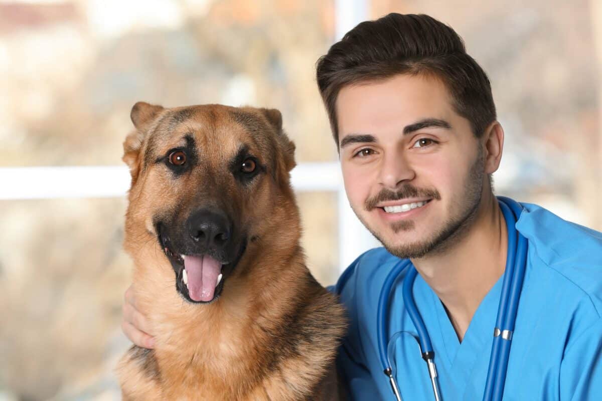 How much do vet assistants make. Vet Assistant Salaries in the US.