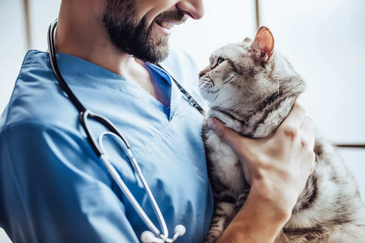 Image of man at Veterinary Assistant School holding a cat