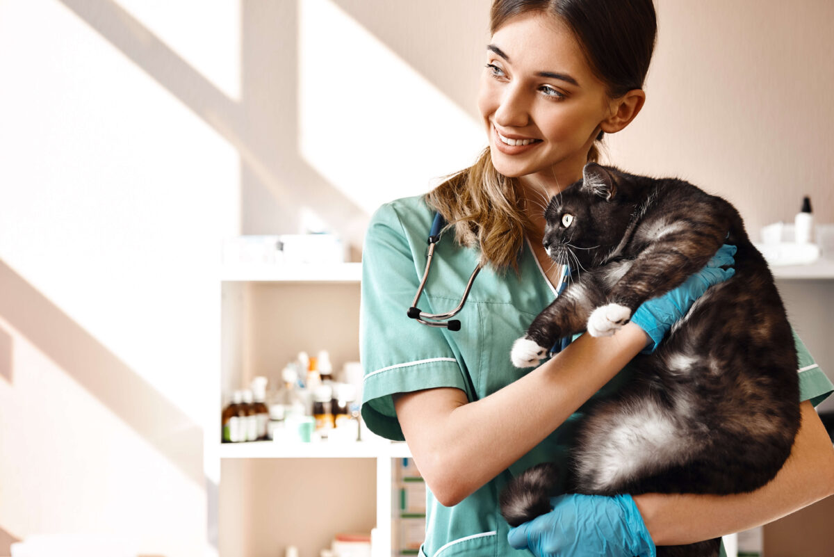 Veterinary Assistant Job description and duties