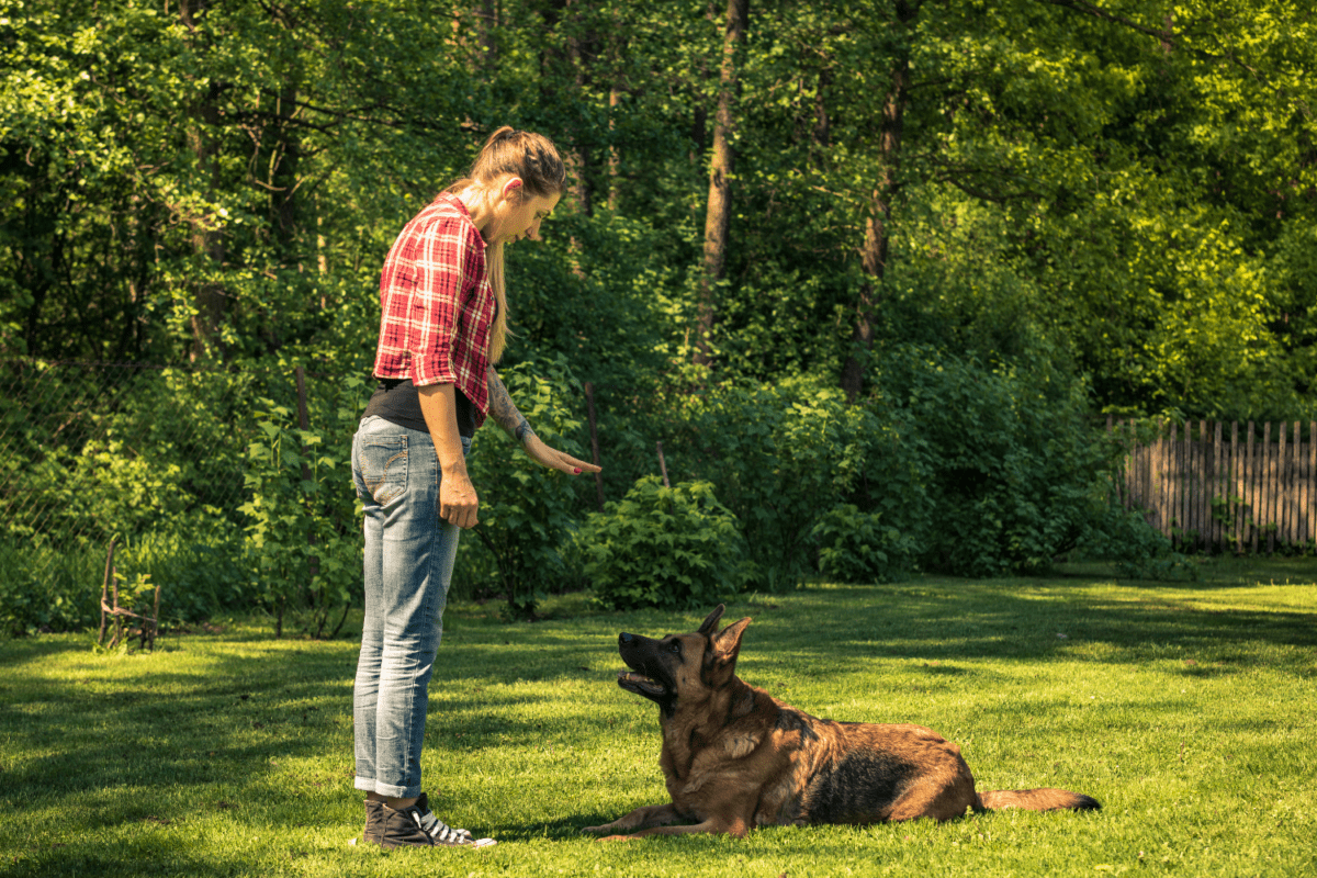 Female dog trainer teaching a down skill
