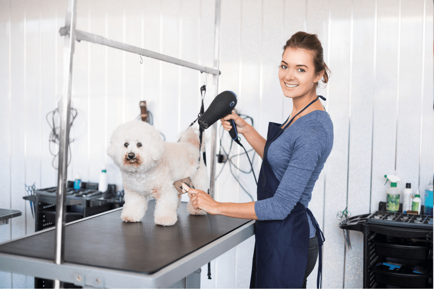 How Long Does It Take To Become A Dog Groomer?