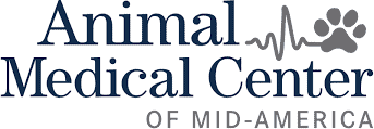 AMCMA Logo AMCMA Logo
