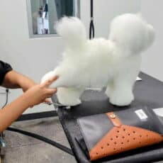 Grooming student practicing trimming feet on fake dog