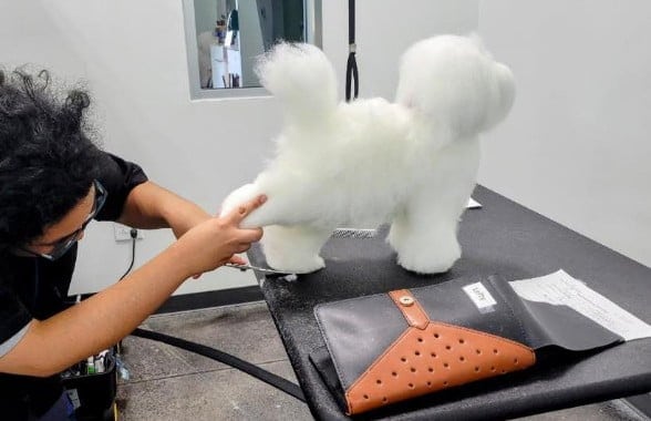 Grooming student practicing trimming feet on fake dog