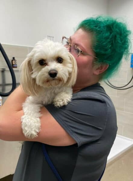 Student hugging dog in dog grooming school