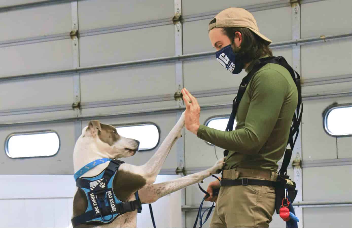 Dog training student training dog to high five at the academy of pet careers