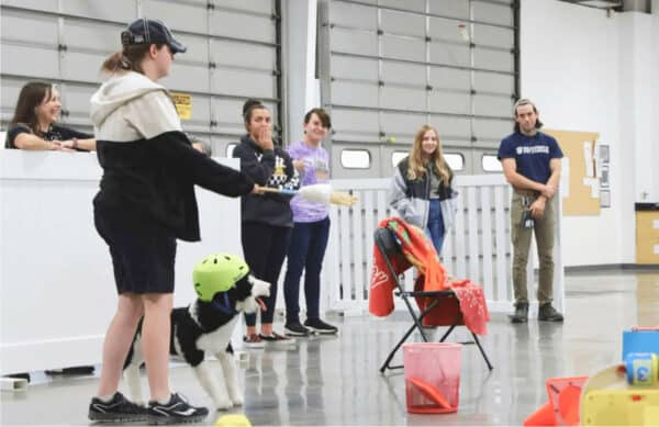 Pet Course Online Dog Trainer Program | The Academy of Pet Careers