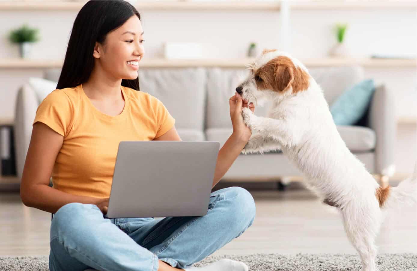Woman working with dog at home to become a dog trainer online