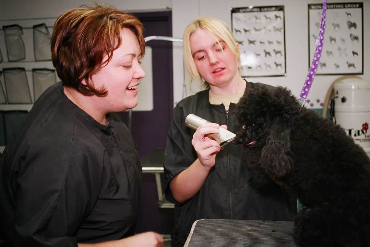 Petropolis Grooming Academy Petropolis Grooming Academy