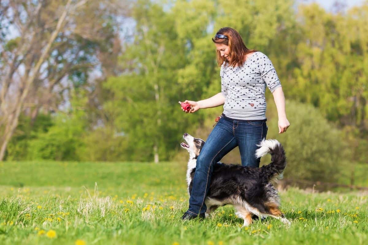 Canine Freestyle