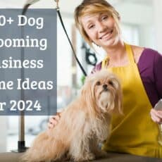 100+ Dog Grooming Business Name Ideas for 2024