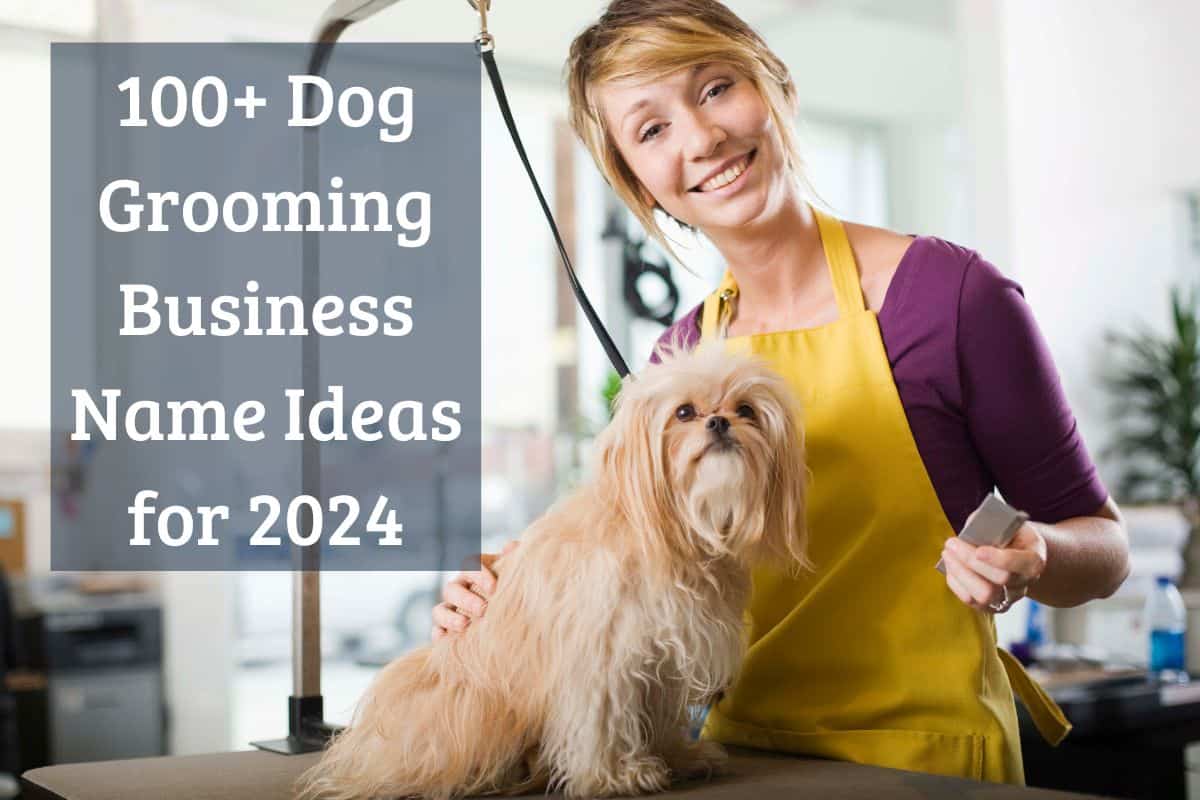Dog Grooming Business Name Ideas