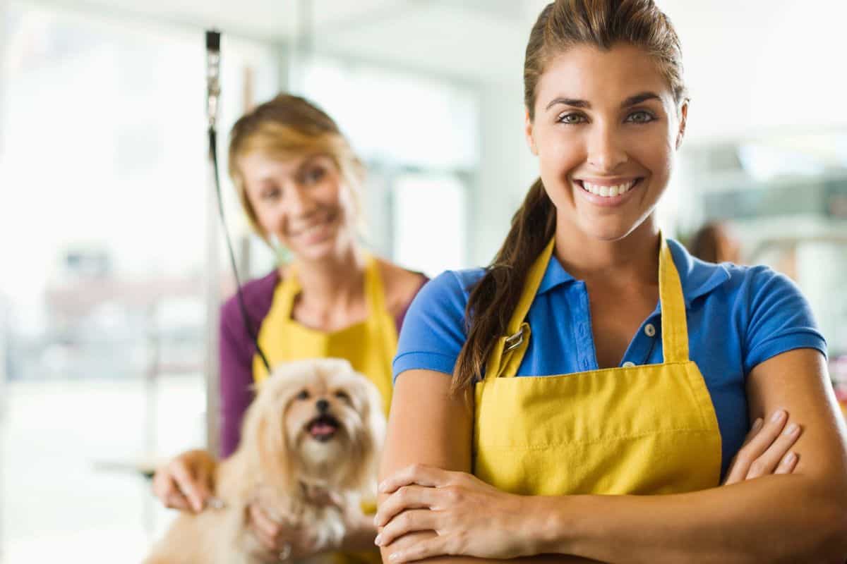 How to Start a Dog Grooming Business