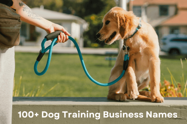 dog training business name ideas in 2025