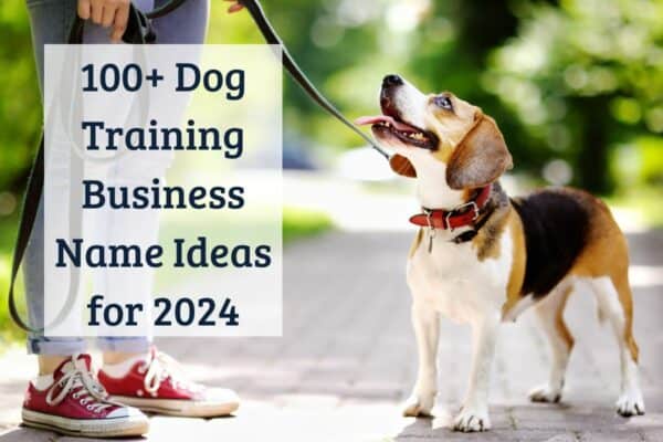 Dog Training Business Name Ideas
