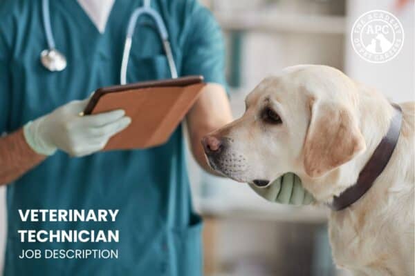 what is the job description of a vet tech