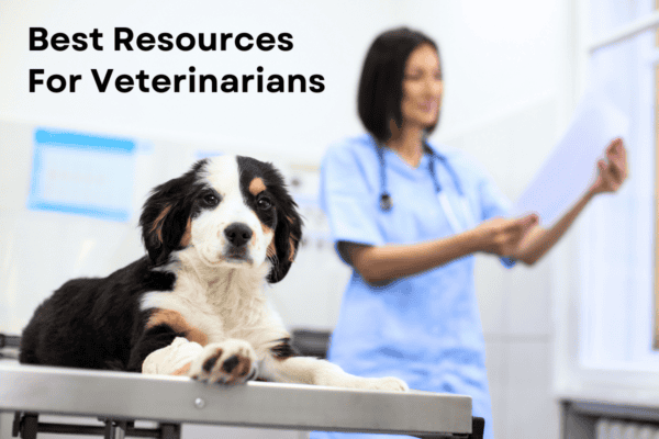 best resources for veterinarians in 2025