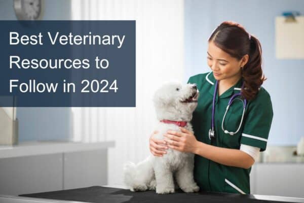 Best Veterinary Resources