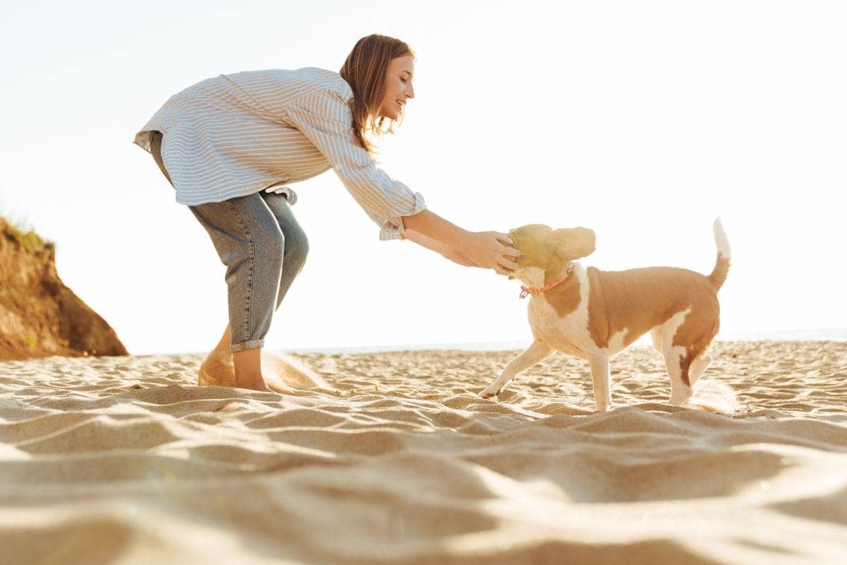 Florida Dog Training School - Become a Dog Trainer in FL