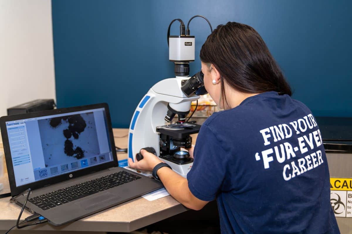 School to Become a Vet Assistant