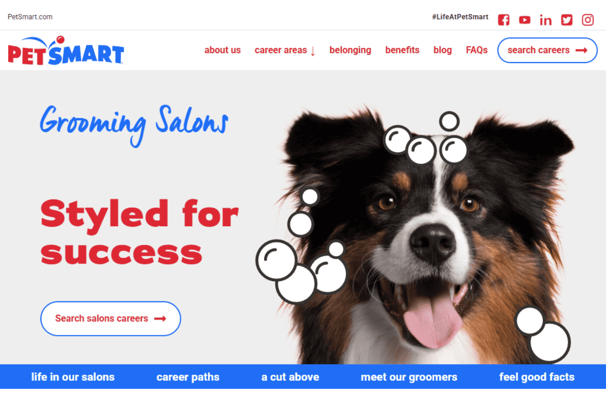 petsmart grooming academy.
