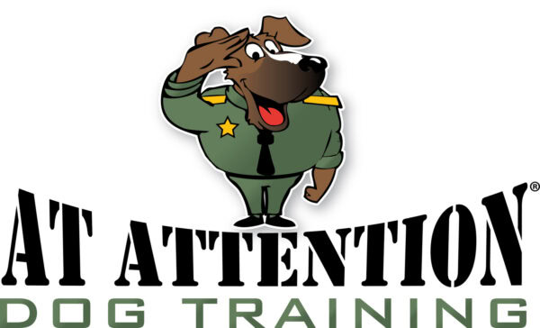 Become a dog trainer in Pennsylvania