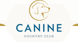 become a dog trainer in arkansas