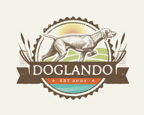 become a dog trainer in florida