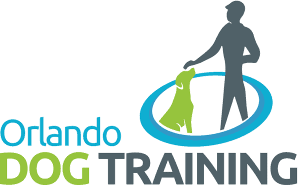 become a dog trainer in florida