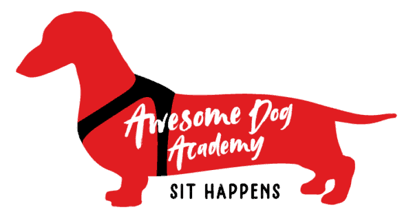 become a dog trainer in mississippi