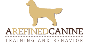become a dog trainer texas