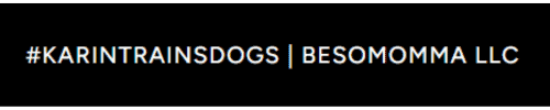 become a dog trainer in new jersey