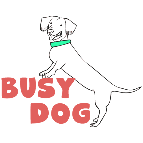 become a dog trainer in wisconsin