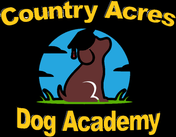 become a dog trainer in nevada