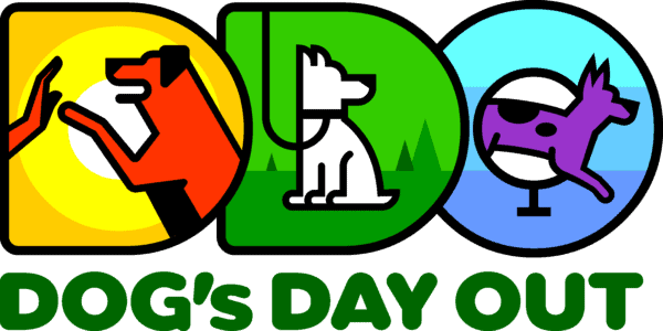 Become a dog trainer in Washington