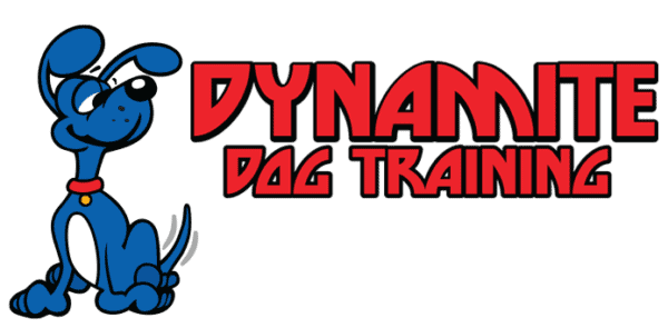 become a dog trainer in florida