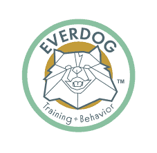 become a dog trainer in massachusetts